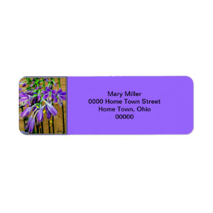 Blooming Purple Hosta Flower Label