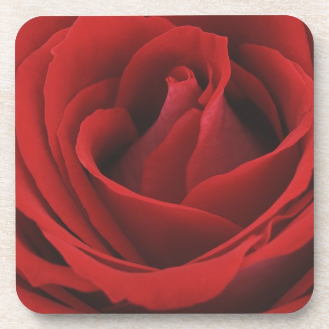 Blooming Red Rose Coaster (Front)