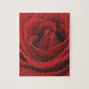 Blooming Red Rose Jigsaw Puzzle
