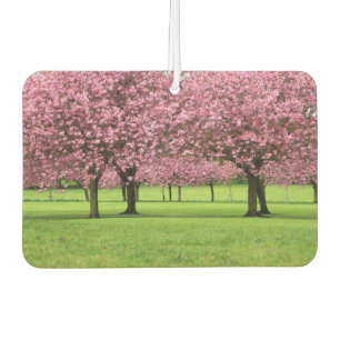 Blooming Sakura Trees Air Freshener