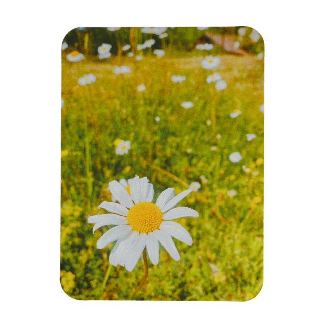 Blooming scandinavian summer field  magnet (Vertical)