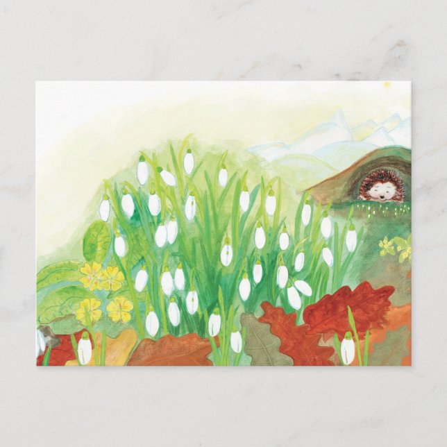 Blooming Snowdrops and a Hedgehog  Postcard (Front)