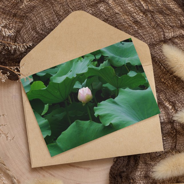 Blooming Soon Card (Creator Uploaded)