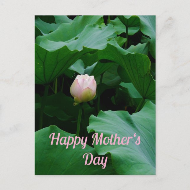 Blooming Soon Postcard (Front)