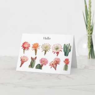 Blooming succulent plants card