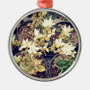 Blooming Succulents Metal Ornament