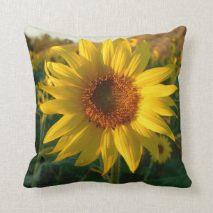 Blooming Sunflower Pillow
