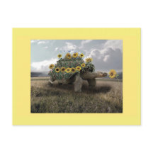 Blooming Sunflower Turtle Postcard