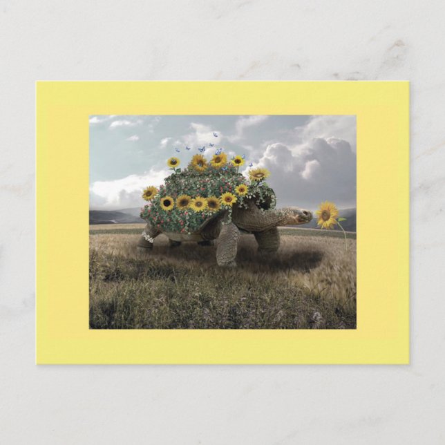 Blooming Sunflower Turtle Postcard (Front)