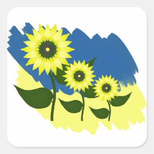 Blooming sunflowers and Ukrainian flag.  Square Sticker