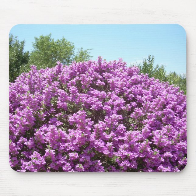 Blooming Texas Sage Mousepad (Front)
