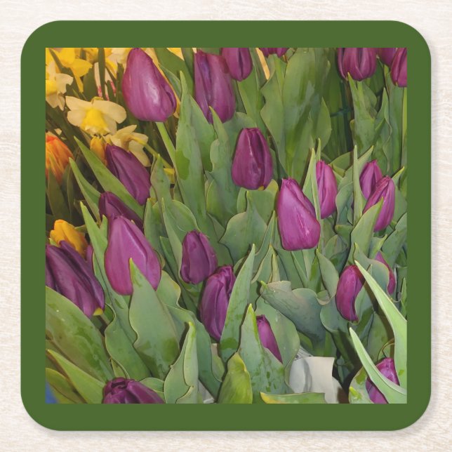 Blooming Tulips Coaster Set (Front)