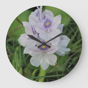 Blooming Water Hyacinth - Tropical Aquatic Flower Large Clock
