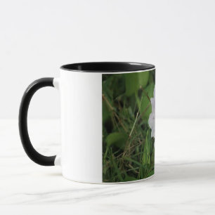 Blooming Water Hyacinth - Tropical Aquatic Flower  Mug