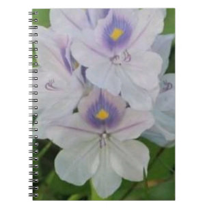 Blooming Water Hyacinth - Tropical Aquatic Flower Notebook
