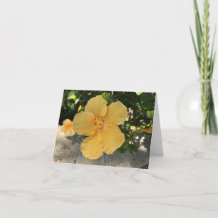 Blooming yellow flower card