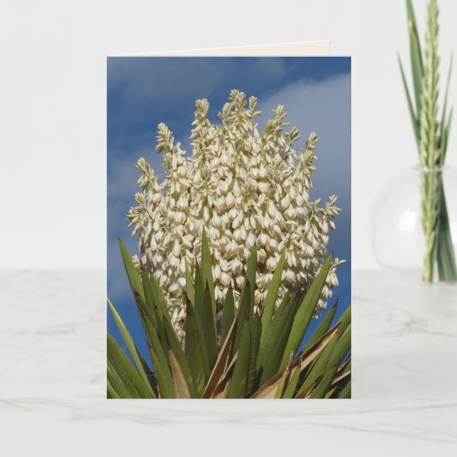 Blooming Yucca, Flowers, Southwest Blank Greeting Card (Front)