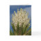 Blooming Yucca, Flowers, Southwest Blank Greeting