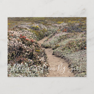 Bloomings from Big Sur! Postcard