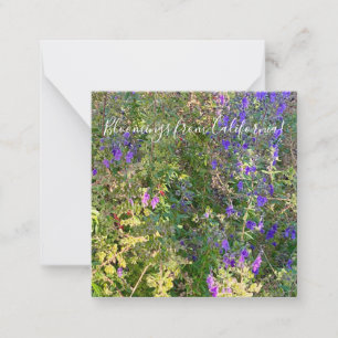 Bloomings from California: Blue Curls Card