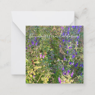 Bloomings from California: Blue Curls Card