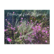 Bloomings from California: Farewell to Spring!