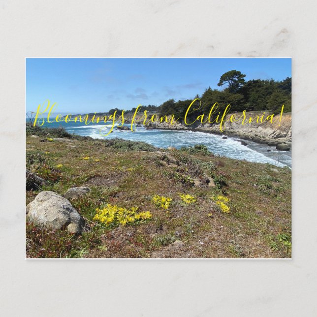 Bloomings from California:  Footsteps... Postcard (Front)