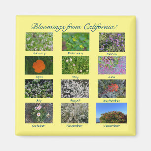 Bloomings from California! magnet