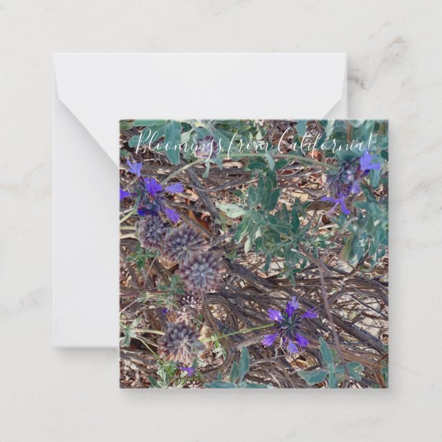 Bloomings from California: Purple Sage Card (Front)
