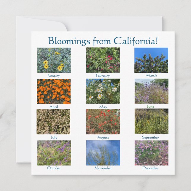 Bloomings from California: Sunnyvale 2022 Card (Front)