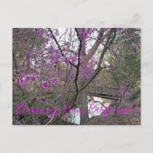 Bloomings from California: Western Redbud Postcard