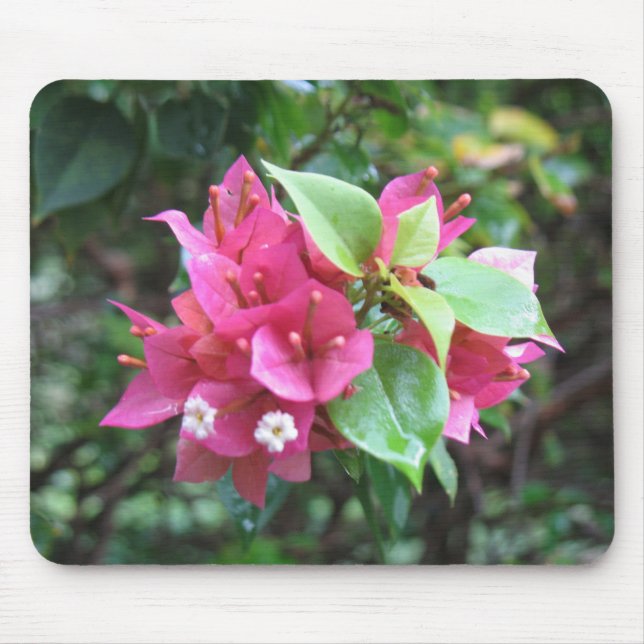 Blooms Mousepad (Front)