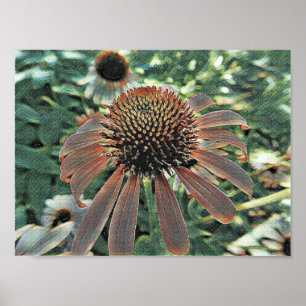 Blooms of Love Poster