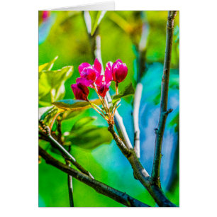 Blossom à l'intérieur