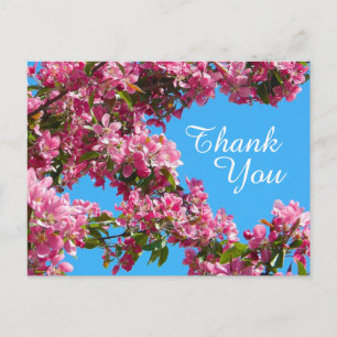 Blossom and Blue Sky Thank You Postcard