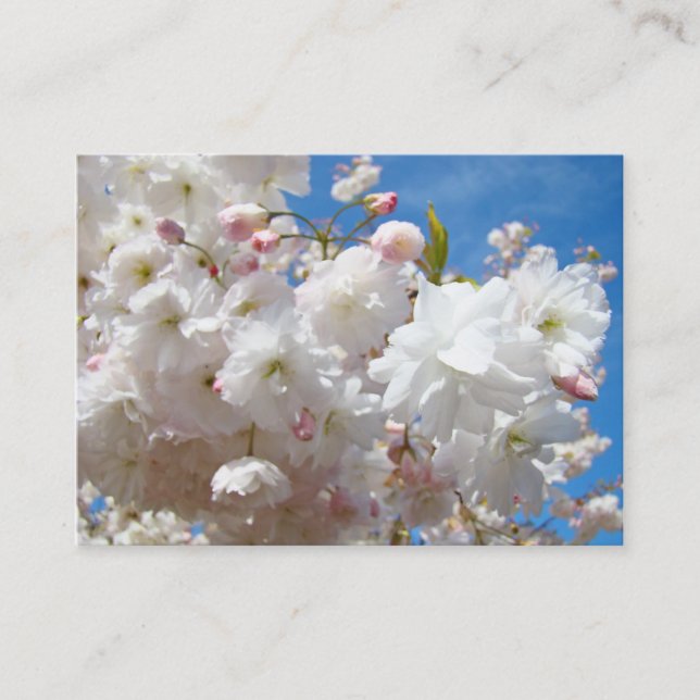 Blossom Flowers Spring Appointment Cards Reminders (Front)