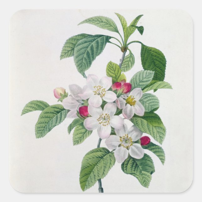 Blossom, from 'Les Choix des Plus Belles Square Sticker (Front)