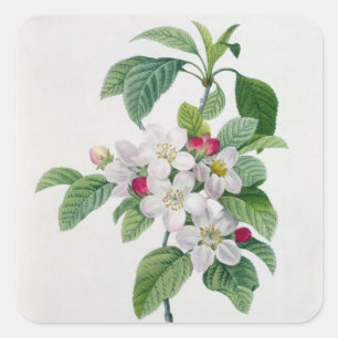 Blossom, from 'Les Choix des Plus Belles Square Sticker
