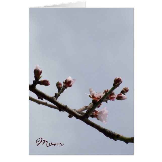 Blossom Mother's Day Card (Front)