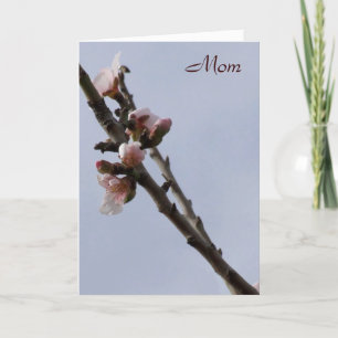 Blossom Mother's Day Card