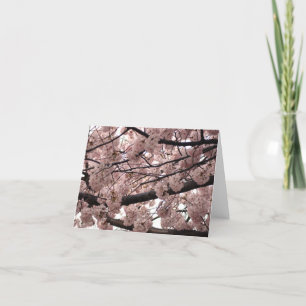 Blossom Notecards