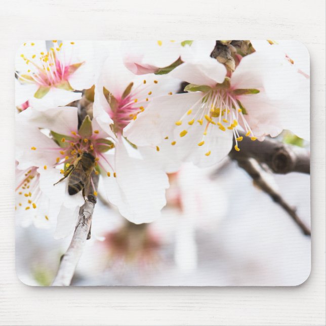 Blossom of the almond tree mouse pad (Front)