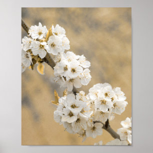 Blossom Symphony Natures Overture Poster