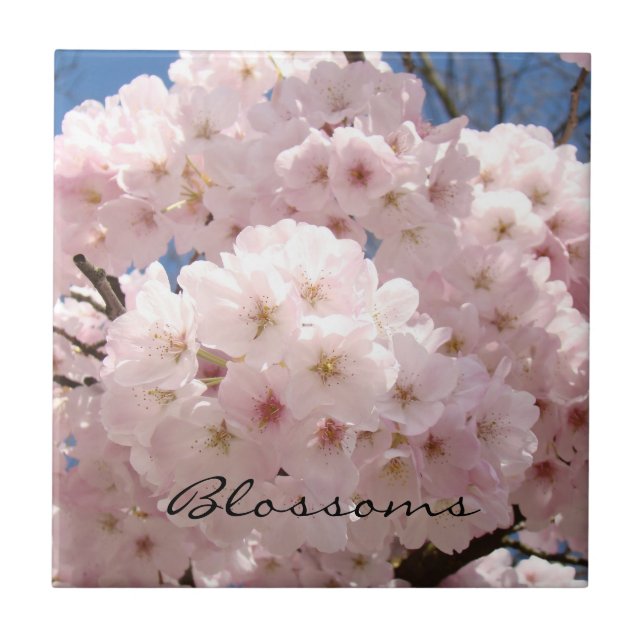 Blossom tile art Pink Spring Tree Blossoms gifts (Front)