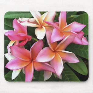 Blossom Wreath Of Pale Pink Frangipani Mouse Pad
