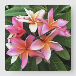 Blossom Wreath Of Pale Pink Frangipani Square Wall Clock