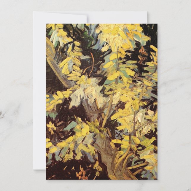 Blossoming Acacia Branches by Vincent van Gogh (Front)
