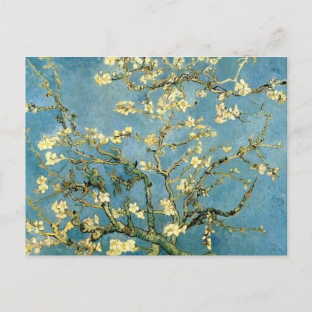 Blossoming Almond Tree by Van Gogh Postcard (Front)