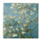 Blossoming Almond Tree by Van Gogh