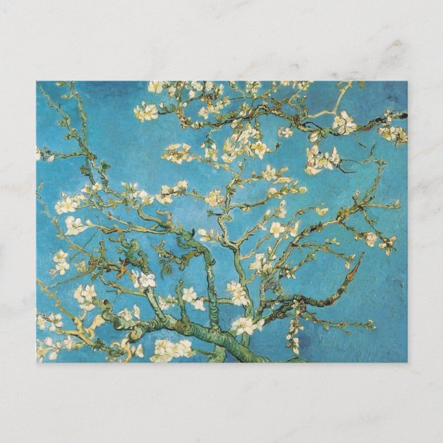 Blossoming Almond Tree  Vincent van Gogh Postcard (Front)